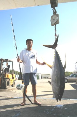 ���]�@�F�s