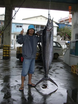 �g�c�@���F