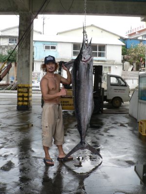 �{�c�@�e��